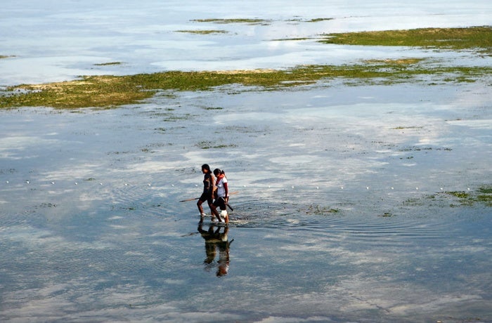 Mujeres pescando